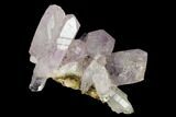Amethyst Crystal Cluster - Las Vigas, Mexico #165642-1